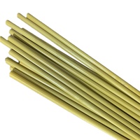 5mm Torlon PAI Tige En Plastique
