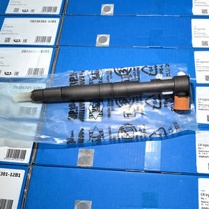 Layanan purna jual berkualitas tinggi 28236381 rel umum injektor d-elphi 28236381/33800-4A700 injektor untuk <span class=keywords><strong>Hyundai</strong></span> H1 - Product Image 4