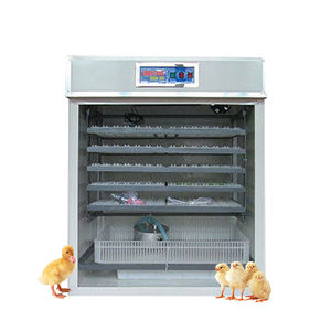 Incubateur automatique pour œufs de poulet 500, 12 unités, <span class=keywords><strong>prix</strong></span> <span class=keywords><strong>d</strong></span>'usine - Product Image 3
