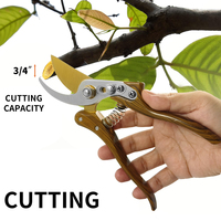 Forbici da Potatura Bypass con Lama in Acciaio SK5, Antiscivolo, per Giardinaggio, Potatura Alberi da Frutto, Bonsai, Uso Intensivo, Affilate, Supporto OEM ODM