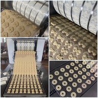 Machine à fabriquer des biscuits Jenny en acier inoxydable, produit efficacement des biscuits, ligne de production de biscuits