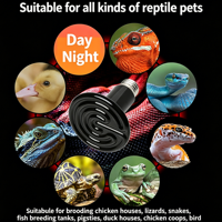 Émetteur de chaleur en céramique sans lumière pour reptiles, lampe chauffante pour lézards, serpents, geckos, ne gêne pas le cycle de sommeil, ampoule chauffante pour reptiles