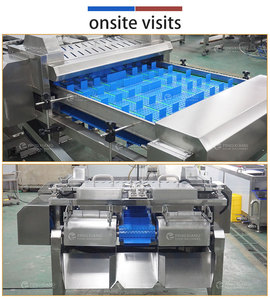 เครื่องตัดหัวหอมต่อเนื่อง Fengxiang รุ่น 2000 กก./ชม. ปรับความยาวได้ มอเตอร์ปั๊มกำลังสูง เกรดอาหาร - Product Image 3