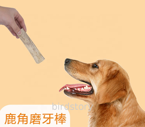 Trung Quốc Sika Deer <span class=keywords><strong>ANTLER</strong></span> <span class=keywords><strong>Chew</strong></span> Stick cho chó và mèo XL thân thiện với môi Pet <span class=keywords><strong>Toy</strong></span> với sang trọng Deer horn đóng gói trong túi - Product Image 4