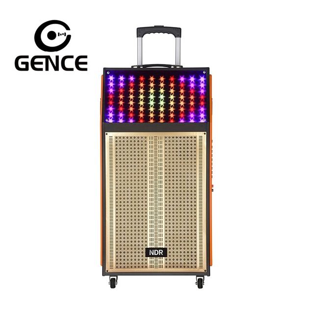 Professional Portable PA Speaker System Wireless Mic RGB Battery-Powered for 5.0 50-100W Output for Church Meetings Stage