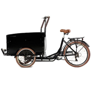 Motorisiertes Elektrisches Lastendreirad 36V 4-Sitzer-Rikscha mit 200-300kg Nutzlast für Familiennutzung - Product Image 3