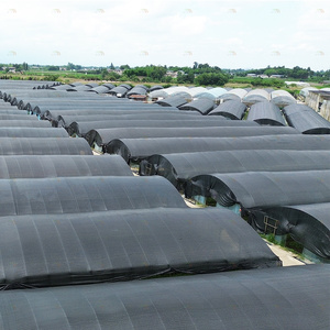 Nông nghiệp phát triển ánh sáng đổ mất điện nông nghiệp nhà kính đen trắng phim duy nhất khoảng nấm nhà kính - Product Image 6