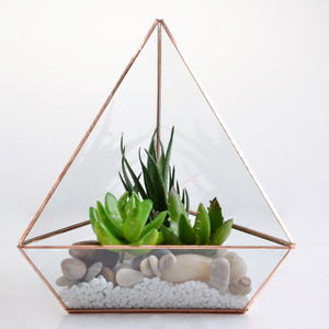 Bauen sie ihre eigenen einzigartigen <span class=keywords><strong>terrarium</strong></span> mit diesem kleinen <span class=keywords><strong>terrarium</strong></span> kit - Product Image 1