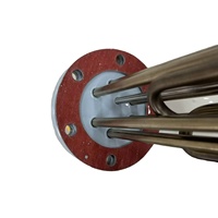 Calentador de inmersión de brida OEM 380V 400V con tubo de temperatura para sensor de temperatura (termopar)
