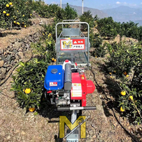 Transportador Monorraíl Agrícola de Carga y Escalada Más Vendido