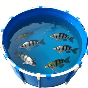 Bacs d'élevage aquacole, bassins <span class=keywords><strong>pour</strong></span> l'élevage de poissons, équipement d'élevage de crevettes, piscine d'élevage en bâche de grande capacité - Product Image 3