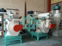 Machine à granulés automatique de sciure de bois de biomasse de 1 à 3 tonnes par heure Ligne complète de granulés pour paille de riz