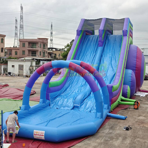 Outdoor events <b>large</b> hippo <b>slide</b> with climbing steps commercial inflatable water <b>slide</b> for adults - Product Image 2