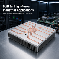 Dissipateur thermique en aluminium haute puissance à ailettes rainurées avec caloduc en cuivre intégré, dissipateur thermique personnalisé pour module de puissance EV à onduleur IGBT