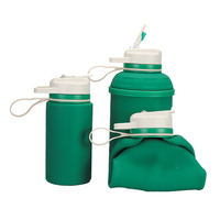 Bouteille d'eau pliable en silicone minimaliste, écologique, sans BPA, portable, 74 oz