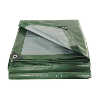 Bâche en tissu brocart Wohohoho 120 GSM, imperméable, robuste, 3m x 3m, verte, unie, enduite, résistante aux UV et aux déchirures