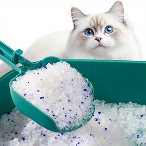 Échantillons Gratuits MSDS, Parfum Personnalisé, Sans Poussière, Très Absorbant, Longue Durée, Certifié ISO9001, Litière pour Chat en Gel de Silice Cristallin - Product Image 1