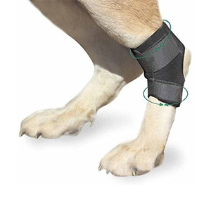 ผ้าพันขาสำหรับสุนัข ป้องกันข้อขาหลัง ช่วยพยุงและรัดแผล ป้องกันการบาดเจ็บ ช่วยพยุงข้อขาหลังสัตว์เลี้ยง - Product Image 5