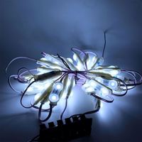 Module LED 12V DC, 2 LED, 1W, haute luminosité, 2835, extérieur, PVC, SMD simple, 2 LEDS 2835, modules LED injectés pour enseignes