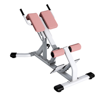 Chaise romaine professionnelle robuste, appareil d'entraînement des hanches, des jambes et des abdominaux pour un entraînement complet du corps