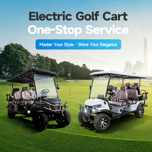 Carrito de <span class=keywords><strong>Golf</strong></span> Eléctrico con Tracción en Todas las Ruedas, Venta Directa de Fábrica, Garantía de Calidad - Product Image 1