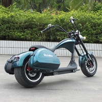 Sepeda Motor Listrik Elektromoped Mangosteen M1 M1p Citycoco Rooder 2000 w 60v20ah Citycoco