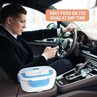 Four à micro-ondes électrique portable 2025, chauffe-repas portable, mini 110/24/12v pour voiture et maison