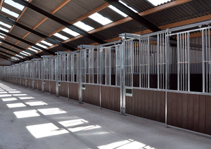 <span class=keywords><strong>Stalle</strong></span> fisse per esterni e al coperto serie di scatole per cavalli facili da assemblare robuste e durevoli - Product Image 4