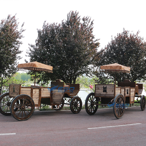 Carruaje de Caballos de Madera para Turismo en EE. UU. / Carruaje de Caballos para Bodas / Carruaje Clásico de Caballos para Turismo - Product Image 3