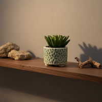 Plante succulente artificielle en plastique, plante en pot, décoration de bureau, plante bionique écologique, petit bonsaï, Pâques, mariage