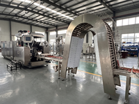 Ligne de production industrielle de gaufrettes, machine à gaufrettes à chauffage électrique, équipement de transformation alimentaire