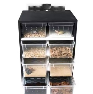 Großhandel Insekt Spinnens child kröte Heizung Zucht Haustier Schrank 8PCS Reptilien zucht Box für bärtige Drachen Eidechse - Product Image 1