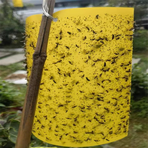 Trampa para mosquitos de doble cara de 12 x 10 pulgadas |   Atrapa Insectos a Prueba de Polvo y Agua con Cubierta de Papel Encerado para Monitoreo de Plagas en Invernaderos - Product Image 4