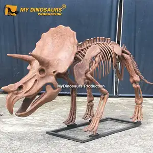 My Dino DS046 Museum Display Dinosaur Theme Park Realistic Triceratops Skeleton