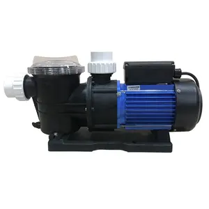 Schwimmbadzubehör 1HP/1,5HP/2HP/3HP elektrische Wasserpumpe STP Serie Wasserpumpe