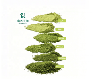 Polvo de Té Verde Matcha Japonés de Grado Ceremonial Extracto de Hierbas de Grado Alimenticio para Productos de Cuidado de la Salud Extraído con Solvente - Product Image 2