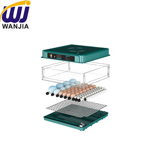 Incubateur à œufs de poulet WANJIA, machine d'éclosion automatique numérique pour poulet, canard, caille et oie, volaille - Product Image 2