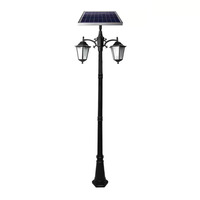 Lampes solaires de jardin, 2,5 mètres, double tête LED, étanches, télécommandées, pour jardin, cour résidentielle, lampadaire de rue