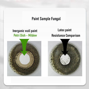 Class-A ignifugo Anti-stampo liquido minerale inorganico <span class=keywords><strong>pittura</strong></span> per parete per soggiorno applicazione spazzola pareti interne - Product Image 3