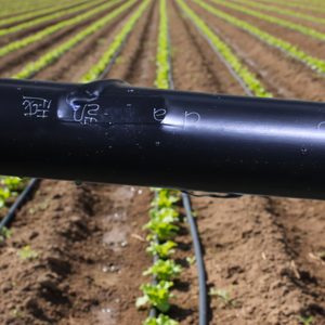 <span class=keywords><strong>Tuyau</strong></span> d'arrosage PE pré-percé <span class=keywords><strong>16</strong></span> mm x 1 en gros |   Systèmes d'irrigation <span class=keywords><strong>goutte</strong></span>-<span class=keywords><strong>à</strong></span>-<span class=keywords><strong>goutte</strong></span> intelligents pour l'irrigation des jardins et des fermes agricoles - Product Image 2