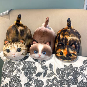 Pantoufles en coton antidérapantes pour femmes, chaussures d'intérieur Mao pour couple, automne et hiver - Product Image 3