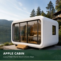 Cabane modulaire préfabriquée de luxe en forme de pomme pour hôtel-resort, zone panoramique et glamping