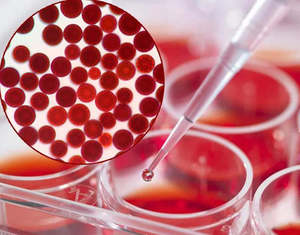 天然赤藻<span class=keywords><strong>Haematococcus</strong></span> Pluvialisエキス1% ~ 10% アスタキサンチンパウダー - Product Image 2