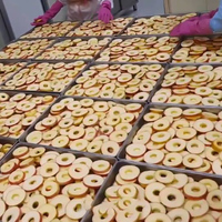 YIHAI Vacuümvriesdroogmachine met grote capaciteit voor de verwerking van durian, jackfruit en drakenvrucht