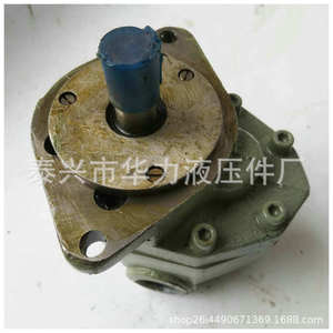 Pompe à huile à engrenages à simple étage en fonte haute pression CB-FC25-FL avec fonction anti-obstruction Montage latéral - Product Image 1