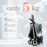 Poussette bébé pliable automatique 2 en 1, légère et portable, pour nouveau-né, utilisation en extérieur, directement de l'usine
