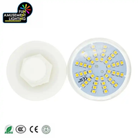 Haute qualité couleur unique LED Pixel Light 60mm E14 LED lampe IP65 corps en plastique pour parc à thème Amusements 48 Points