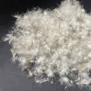 Veste matelassée à col boutonné à manches longues en duvet de canard gris lavé pour homme Canada Goose 90% de duvet de canard Remplissage 700 puissance de gonflage - Product Image 1