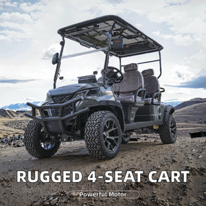 Heavy Duty Off-Road Electric Golf <strong>Cart</strong> with Seater Battery 60V New <strong>CE</strong> Certified - Product Image 2