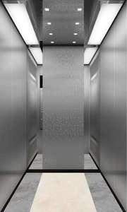 Ascenseur domestique moderne pour villa, ascenseur à petit puits pour maison - Product Image 3